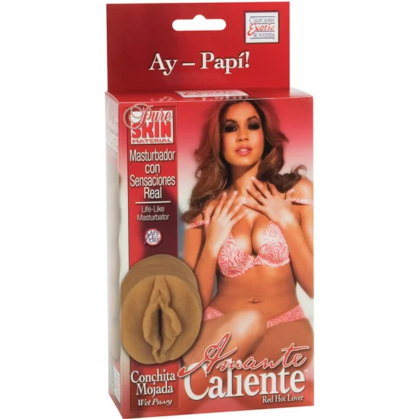 Amante Cali Conchita Mojada - Brown