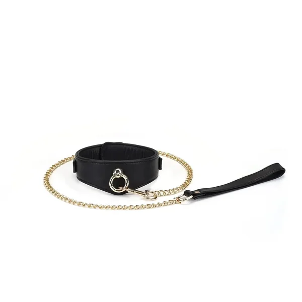 Dark Secret Collection Leather Deluxe Curved Collar with Leash & Lock