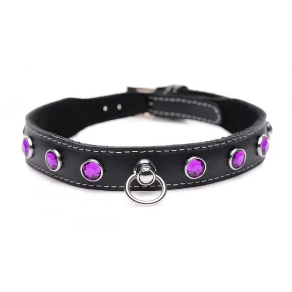 Fierce Vixen Leather Choker with Rhinestones