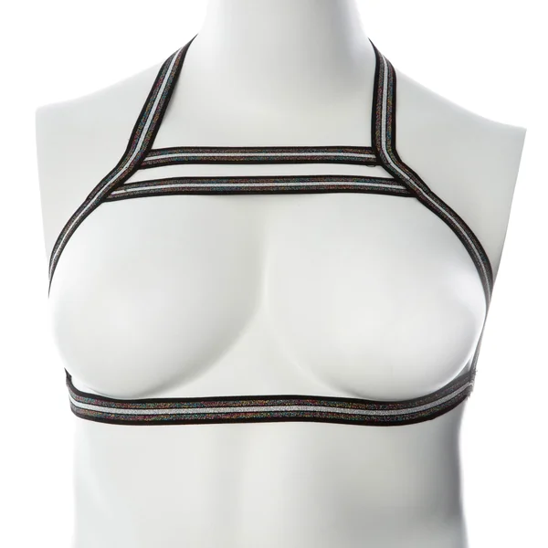 Gender Fluid Silver Lining Harness - Small-large - Multi-Color