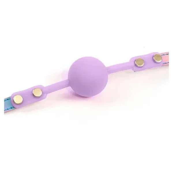 Hello, Sexy! Gag Order Ball Gag-Purple