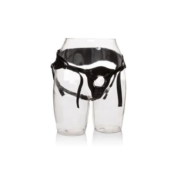 Her Royal Harness the Queen - Boxed