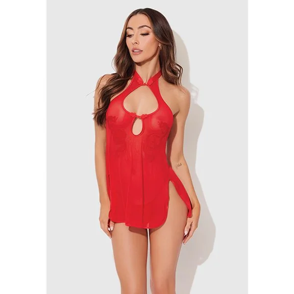 House of Desire Dragon Mesh & Applique Chemise With G-String