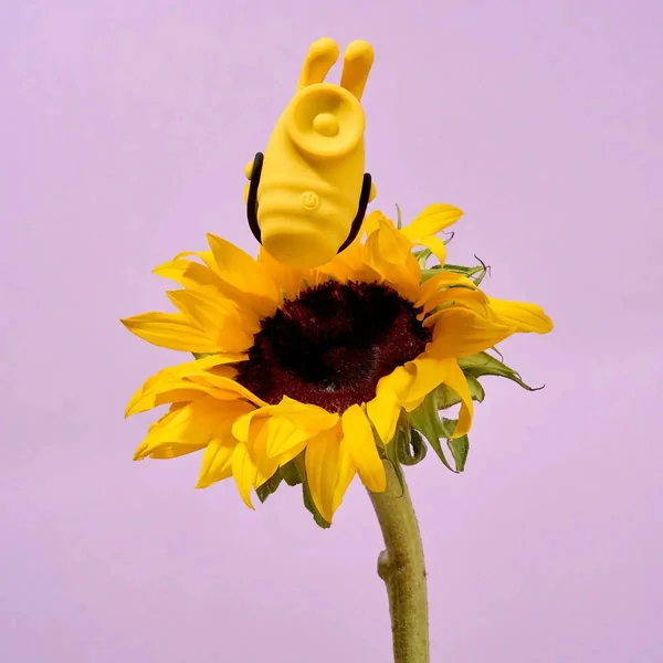 Lolly Bumble Bee Vibrator