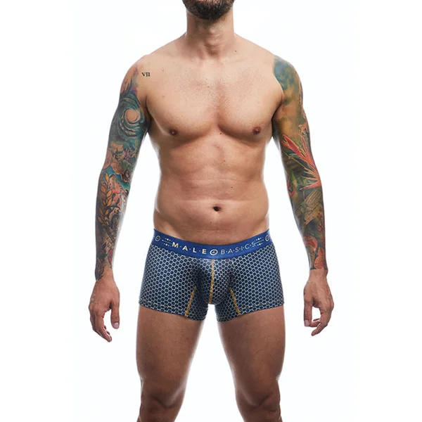 Male Basics Hipster Trunk Andalucia Lg