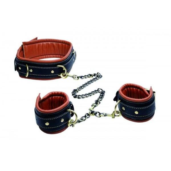 Master Series Coax Collar to Wrist Restraints