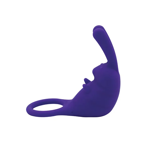 Natalie's Toy Box The Cock Hopper Cock Ring & Bullet Vibrator - Purple