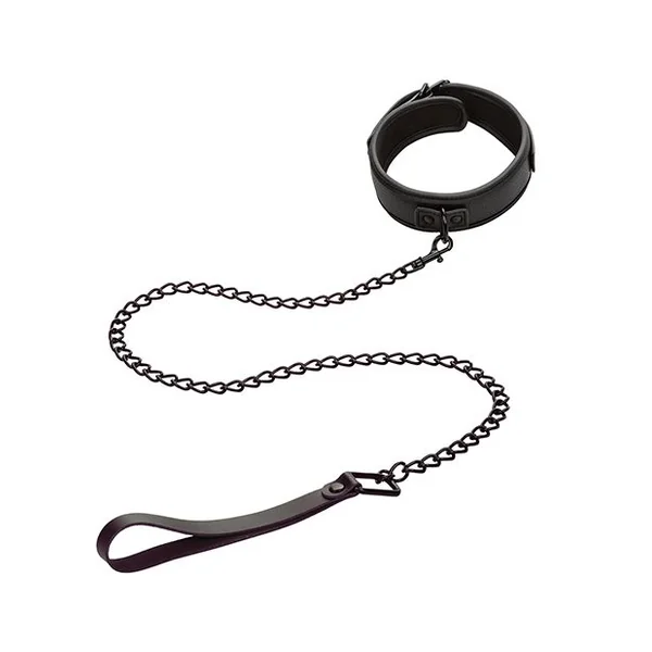 Nocturnal Detachable Collar and Leash