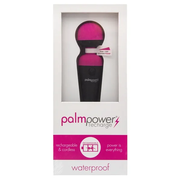 PalmPower Massage Wand Recharge Waterproof