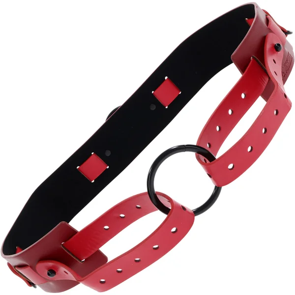 Sex & Mischief Ex's & Oh's Bound And Belted Restraint By Sportsheets