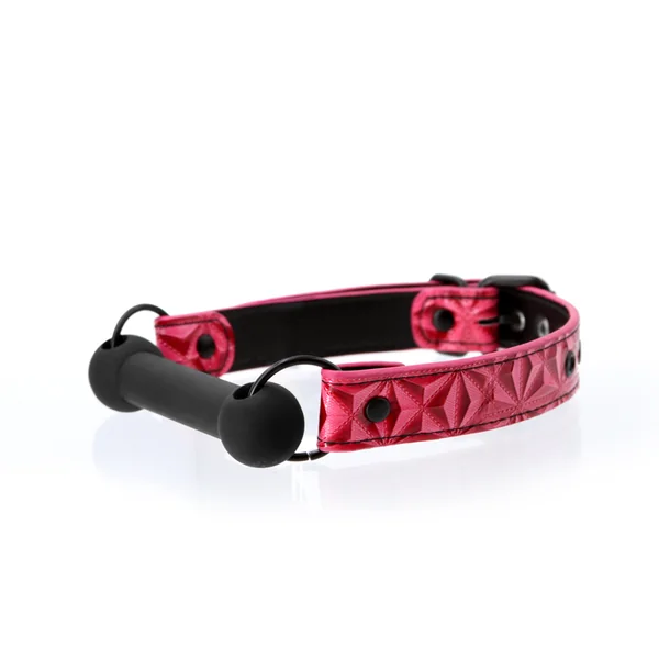 SINFUL BAR GAG PINK
