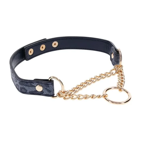 Sportsheets Sex & Mischief Cougar Day Collar