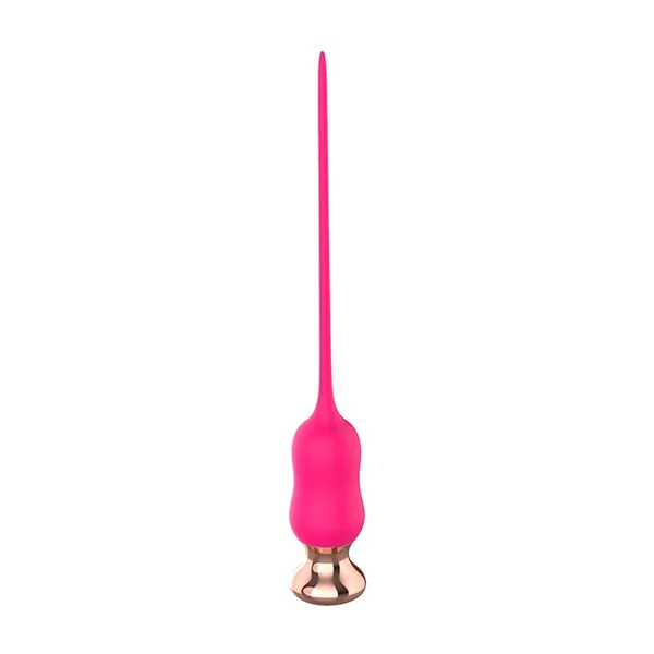 Wireless Urethral Sounding Vibrator Delayed Ejaculation Penis Plug