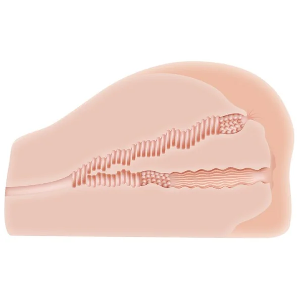 ZERO TOLERANCE KENDRA LUST LIFE SIZE ASS W/ VAGINA