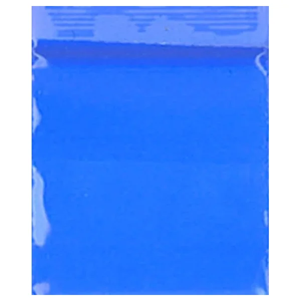 Zip Bags 2020 10/100PK 1000ct/BG Blue